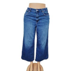 American Eagle Outfitters Women's Denim Blue Strigid Ultra Wide-Leg Jeans Sz 14